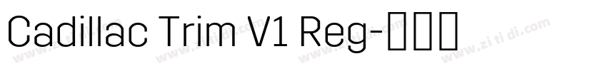 Cadillac Trim V1 Reg字体转换
